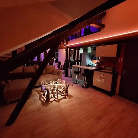 Apartament Le Perchoir De L'Empereur Orlean Zewnętrze zdjęcie